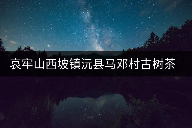 哀牢山西坡鎮(zhèn)沅縣馬鄧村古樹茶介紹