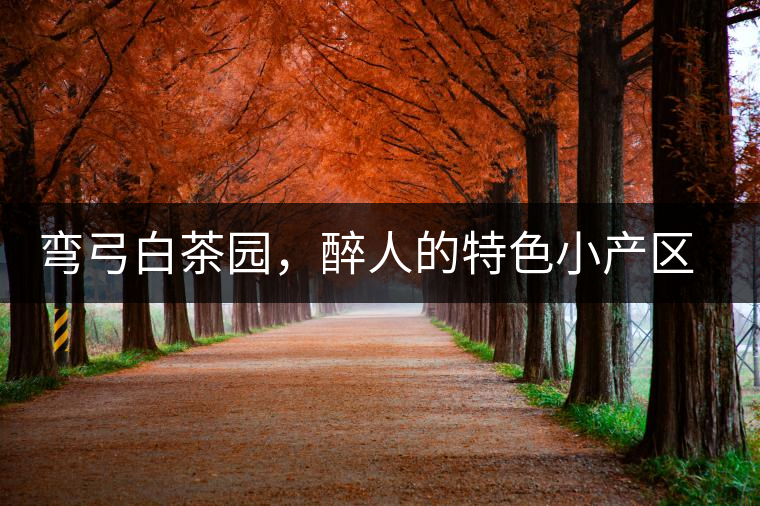 彎弓白茶園，醉人的特色小產(chǎn)區(qū)頂級(jí)口感