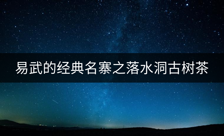 易武的經(jīng)典名寨之落水洞古樹茶