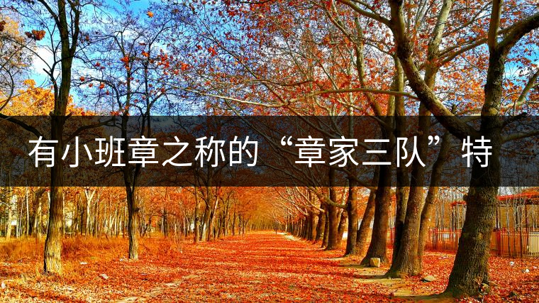 有小班章之稱的“章家三隊”特點介紹