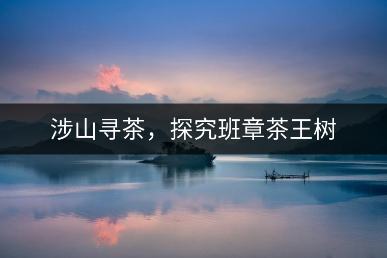 涉山尋茶，探究班章茶王樹(shù)