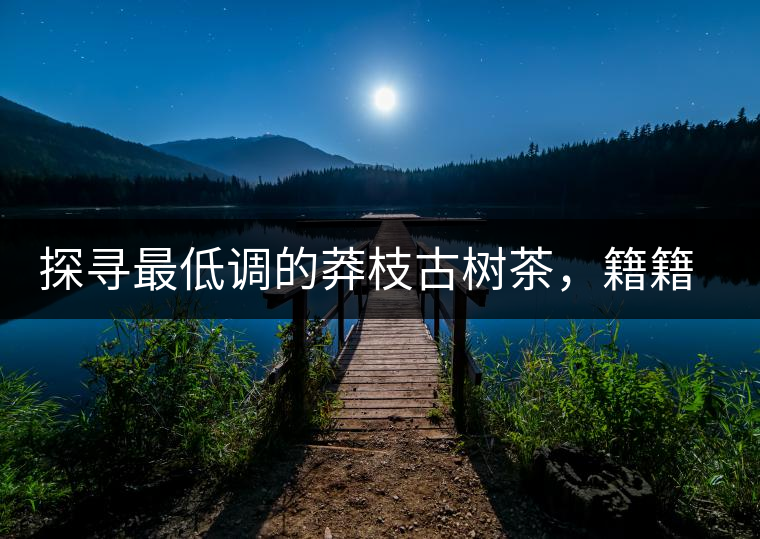 探尋最低調的莽枝古樹茶，籍籍無名出好茶