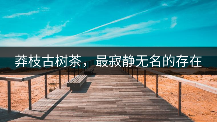 莽枝古樹茶，最寂靜無(wú)名的存在