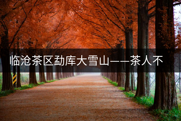 臨滄茶區(qū)勐庫大雪山——茶人不可不去的地方