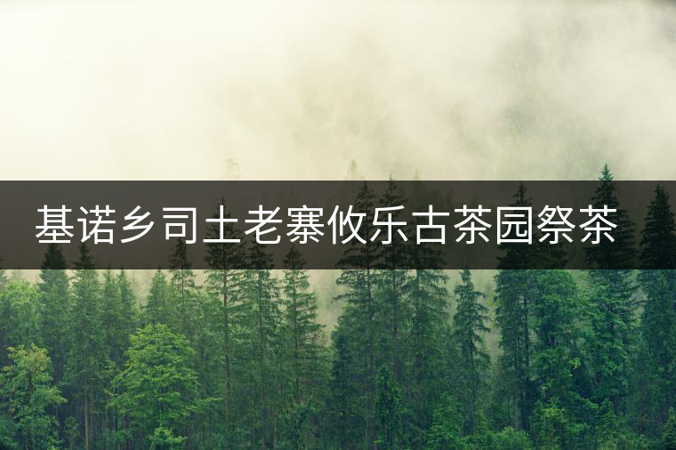基諾鄉(xiāng)司土老寨攸樂古茶園祭茶樹活動見聞