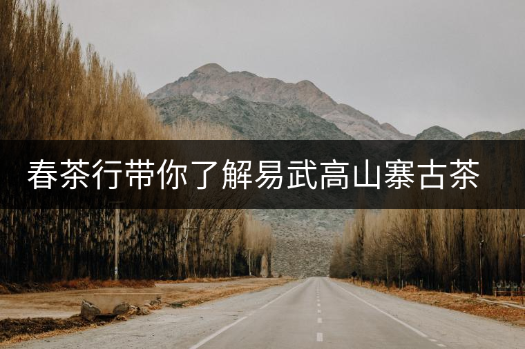 春茶行帶你了解易武高山寨古茶園