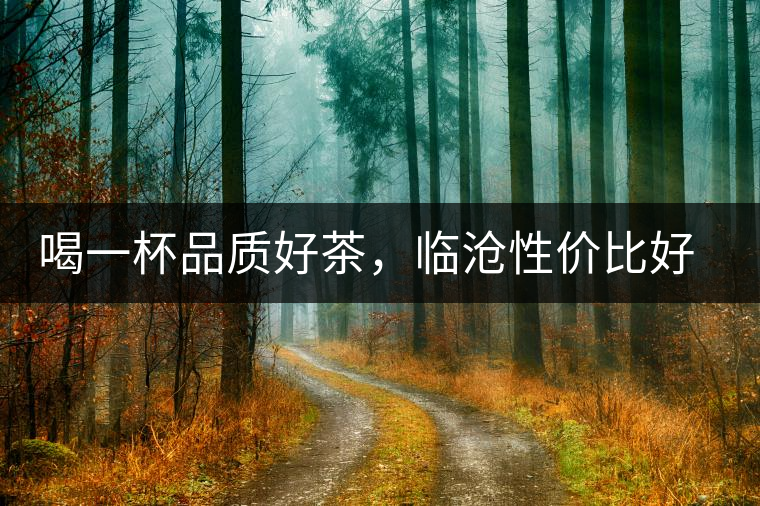 喝一杯品質(zhì)好茶，臨滄性價比好茶邦東古樹茶