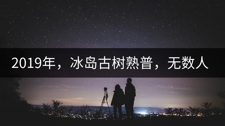 2019年，冰島古樹熟普，無數(shù)人在尋找