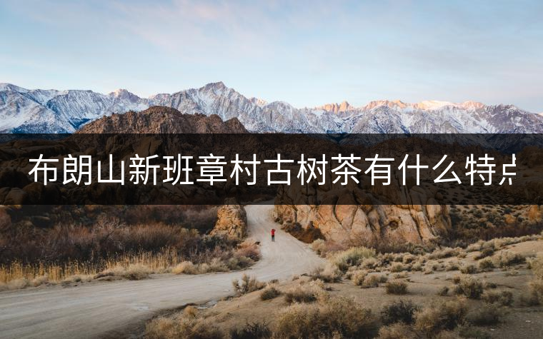 布朗山新班章村古樹茶有什么特點？