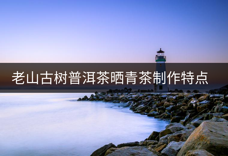 老山古樹普洱茶曬青茶制作特點(diǎn)方法介紹