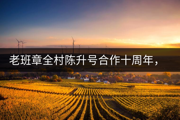 老班章全村陳升號(hào)合作十周年，贈(zèng)送千兩百家茶