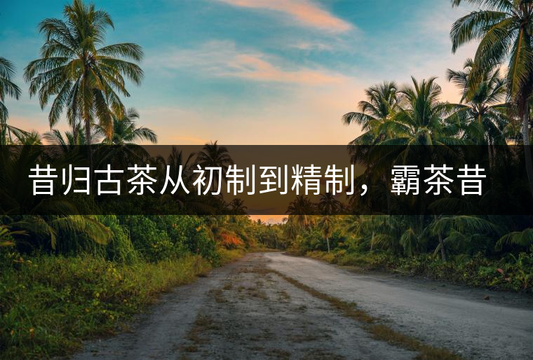 昔歸古茶從初制到精制，霸茶昔歸茶農(nóng)專業(yè)合作社成立