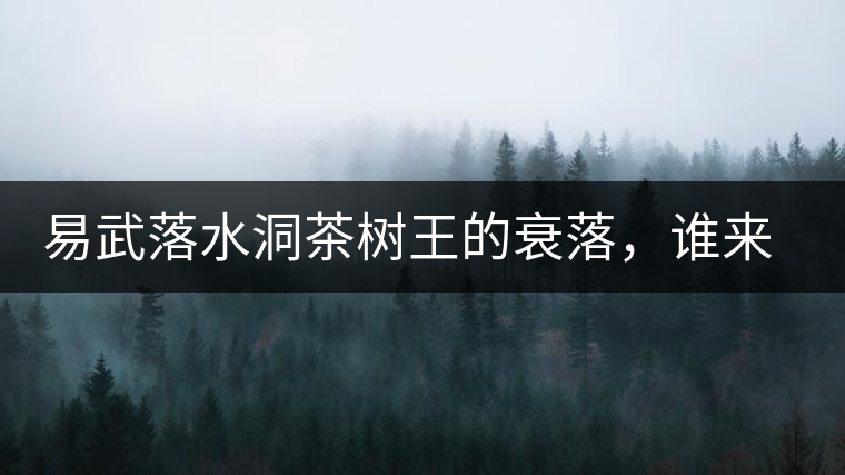 易武落水洞茶樹(shù)王的衰落，誰(shuí)來(lái)關(guān)注古樹(shù)茶？