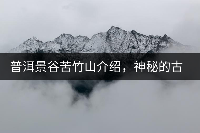 普洱景谷苦竹山介紹，神秘的古樹普洱茶原產(chǎn)地