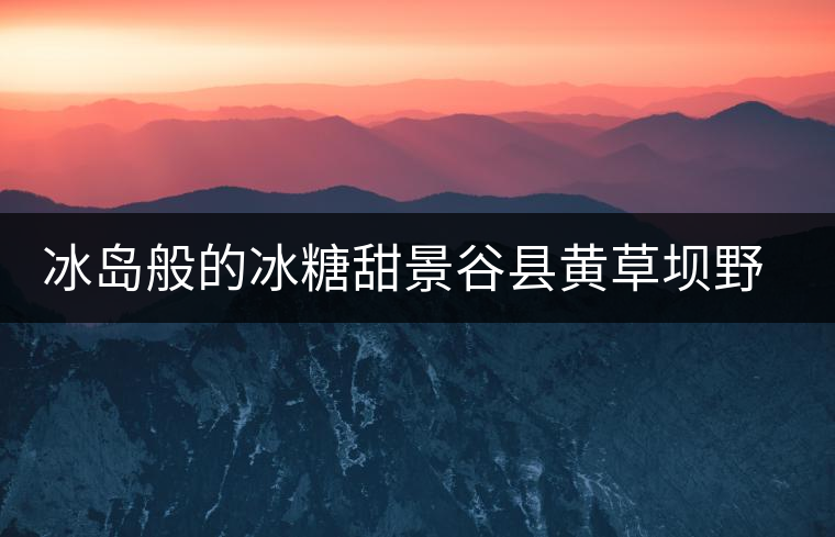 冰島般的冰糖甜景谷縣黃草壩野生古樹茶介紹