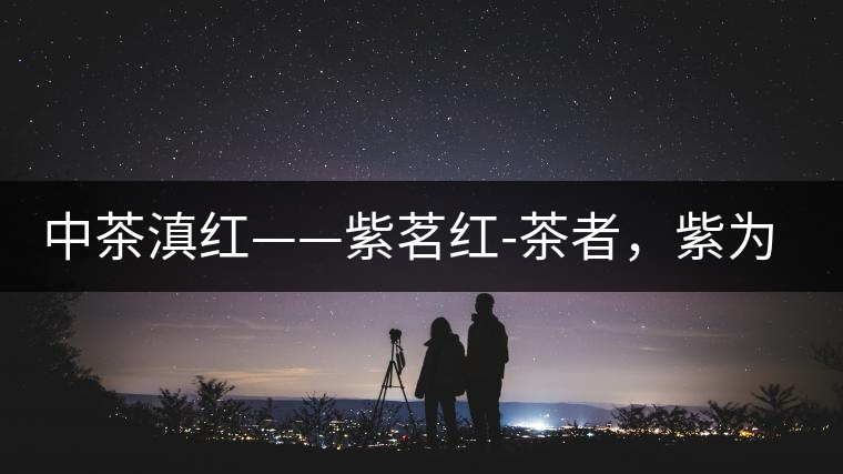 中茶滇紅——紫茗紅-茶者，紫為上