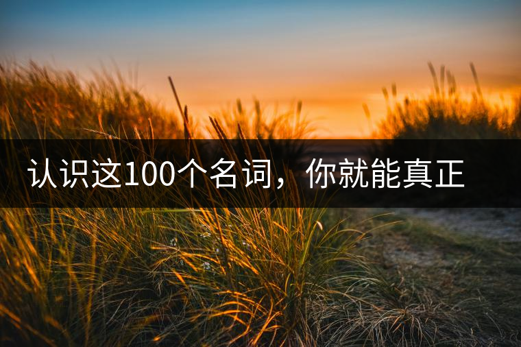 認(rèn)識(shí)這100個(gè)名詞，你就能真正了解普洱茶？