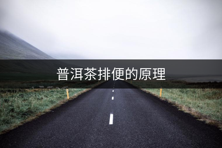 普洱茶排便的原理