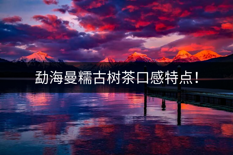 勐海曼糯古樹茶口感特點！
