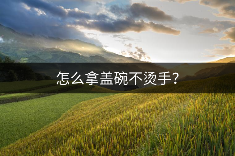 怎么拿蓋碗不燙手？