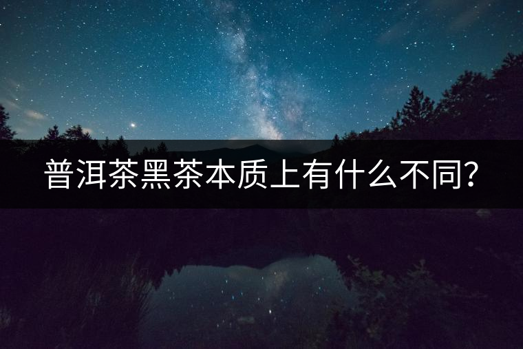 普洱茶黑茶本質(zhì)上有什么不同？