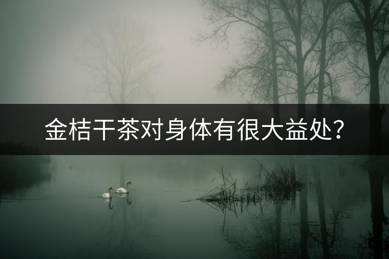 金桔干茶對身體有很大益處？