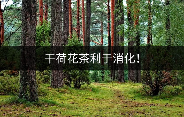 干荷花茶利于消化！