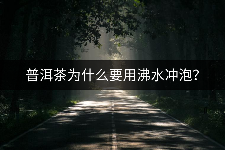 普洱茶為什么要用沸水沖泡？