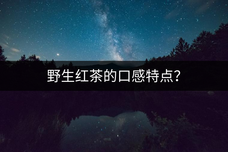 野生紅茶的口感特點？