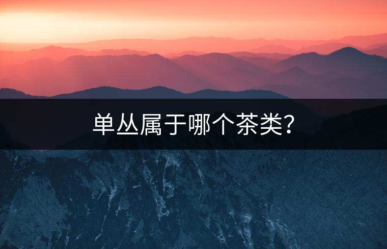 單叢屬于哪個茶類？