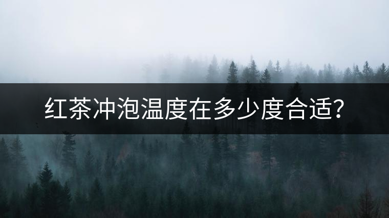 紅茶沖泡溫度在多少度合適？