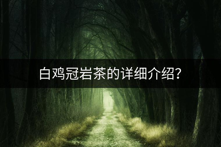 白雞冠巖茶的詳細(xì)介紹？