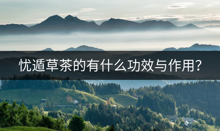 憂遁草茶的有什么功效與作用？