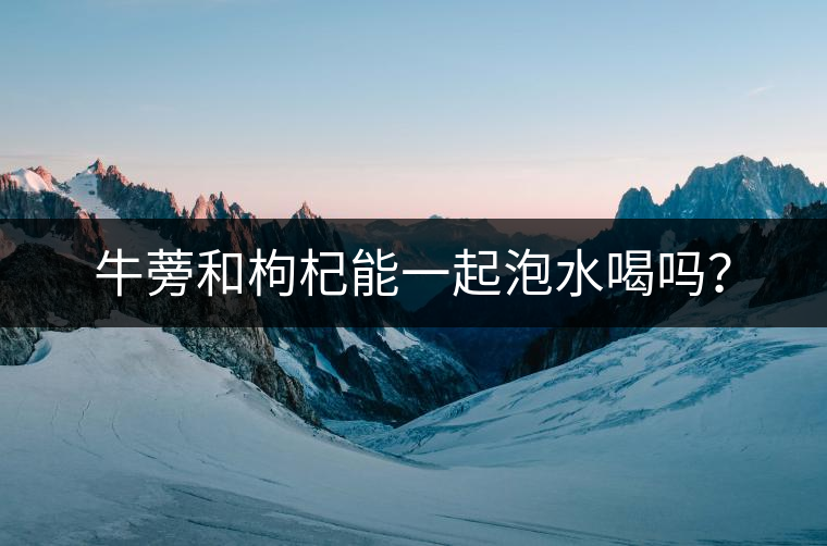 牛蒡和枸杞能一起泡水喝嗎？