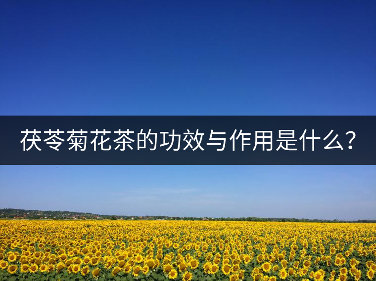 茯苓菊花茶的功效與作用是什么？