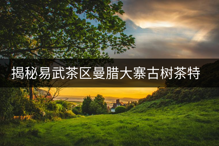 揭秘易武茶區(qū)曼臘大寨古樹茶特點