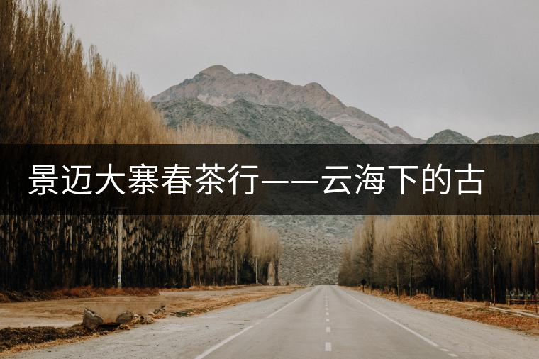 景邁大寨春茶行——云海下的古茶山 景邁大寨春茶行——云海下的古茶山
