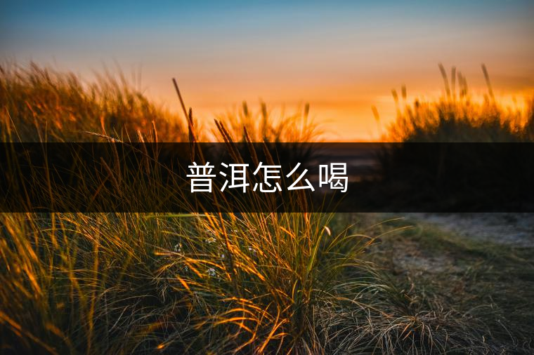 普洱怎么喝