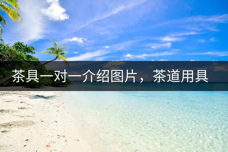 茶具一對(duì)一介紹圖片，茶道用具圖解