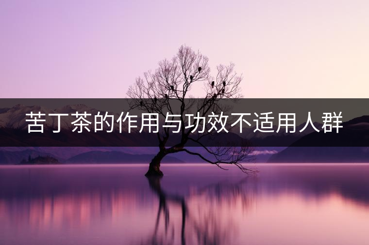 苦丁茶的作用與功效不適用人群
