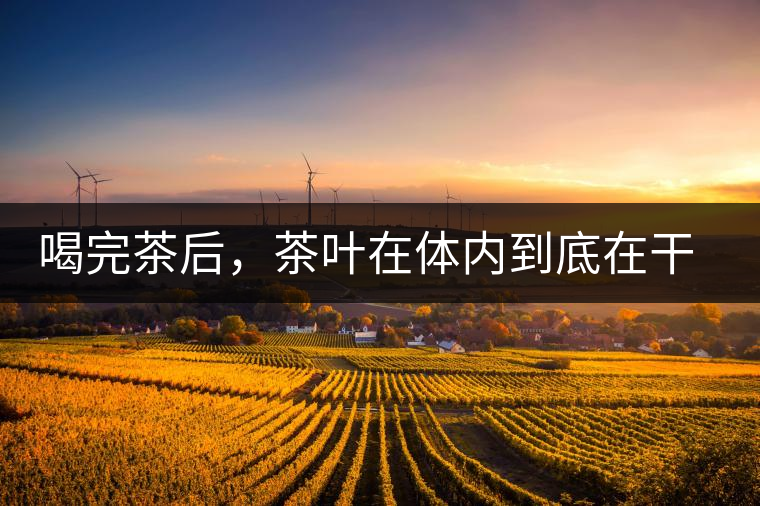 喝完茶后，茶葉在體內(nèi)到底在干嘛，游走的茶水