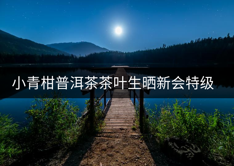 小青柑普洱茶茶葉生曬新會特級柑普云南陳年熟茶陳皮桔普禮盒裝