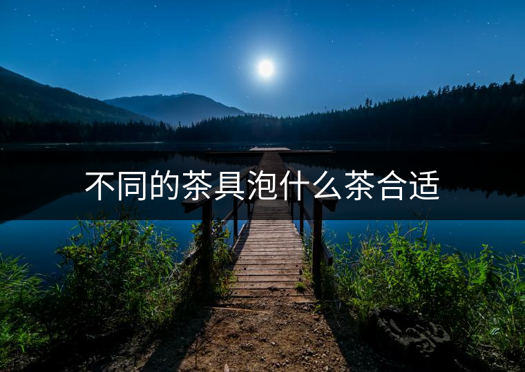 不同的茶具泡什么茶合適
