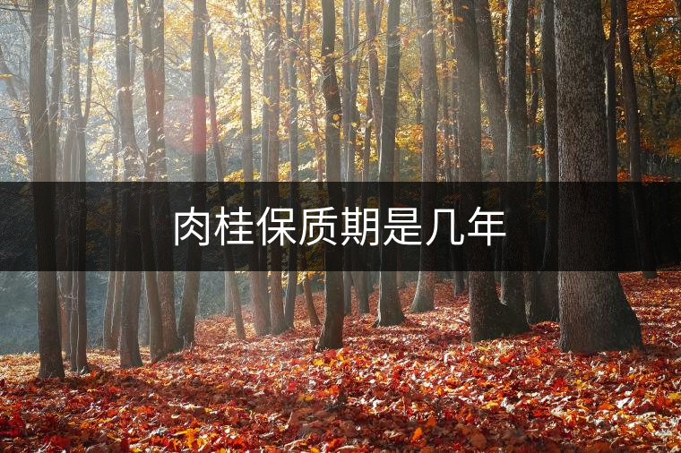 肉桂保質(zhì)期是幾年 肉桂保質(zhì)期是幾年