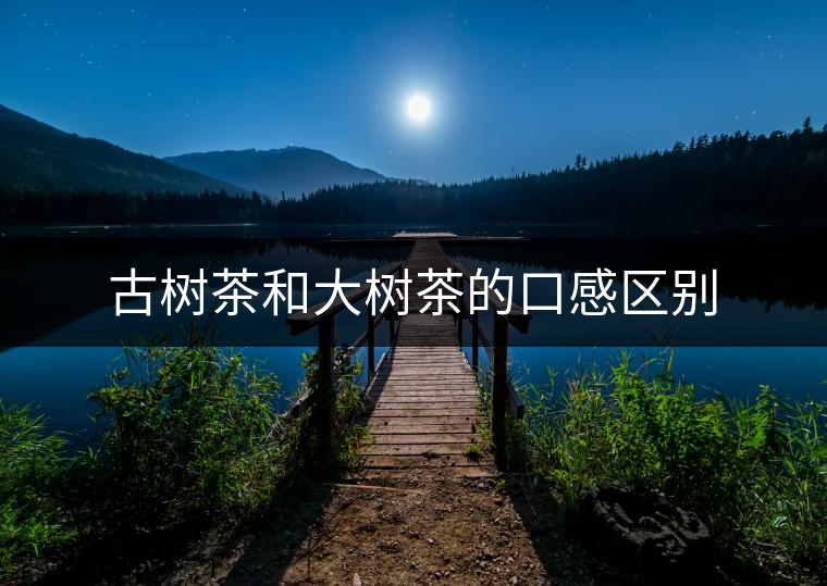 古樹茶和大樹茶的口感區(qū)別