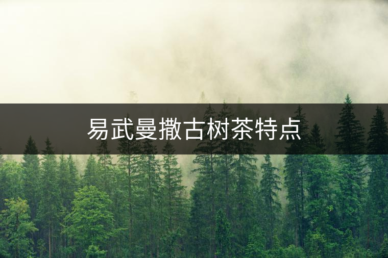 易武曼撒古樹茶特點(diǎn)
