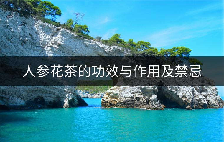 人參花茶的功效與作用及禁忌