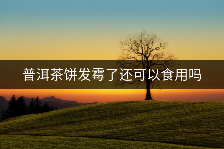 普洱茶餅發(fā)霉了還可以食用嗎