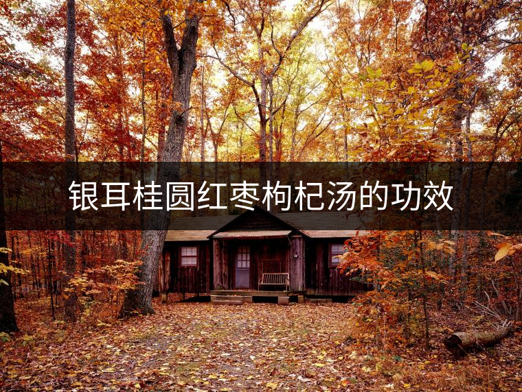 銀耳桂圓紅棗枸杞湯的功效