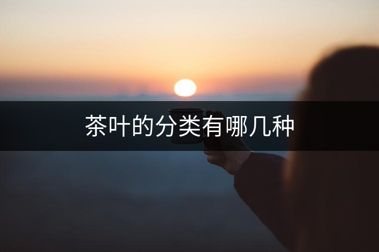 茶葉的分類有哪幾種